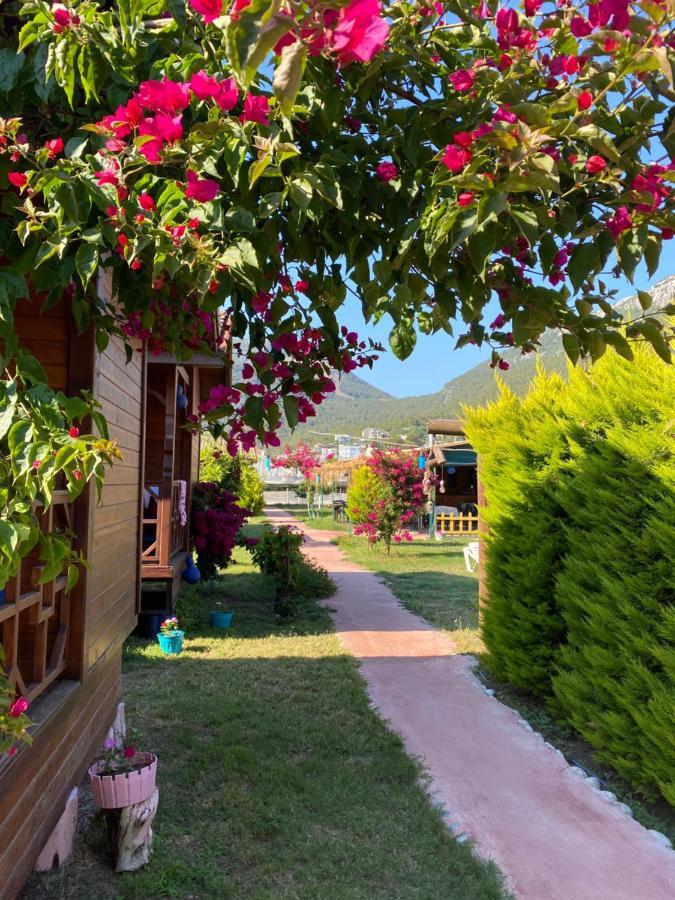 Karaoez Ada Bungalows & Villa Karaoz Exterior foto